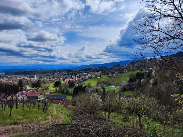 Atemberaubender Ausblick von der Weinbergwarte