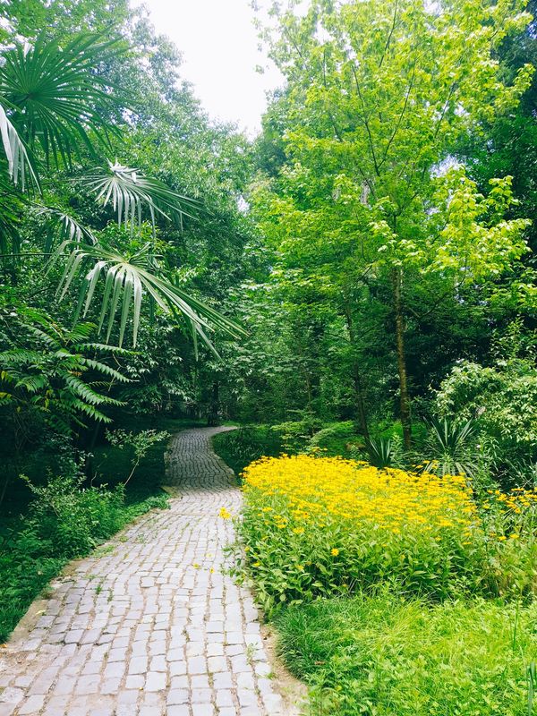 Ruhige Momente im Botanischen Garten