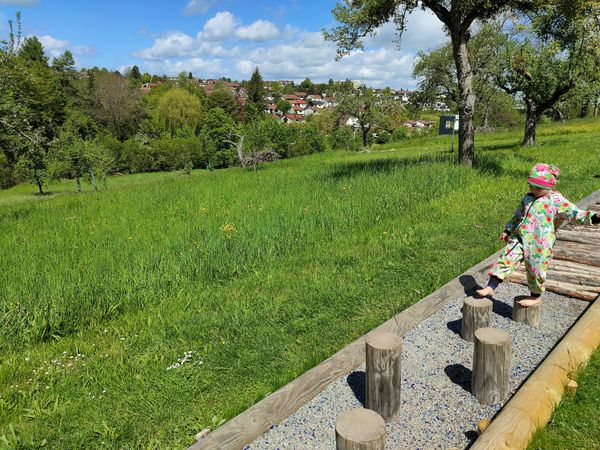 Schaukelspaß auf 4km