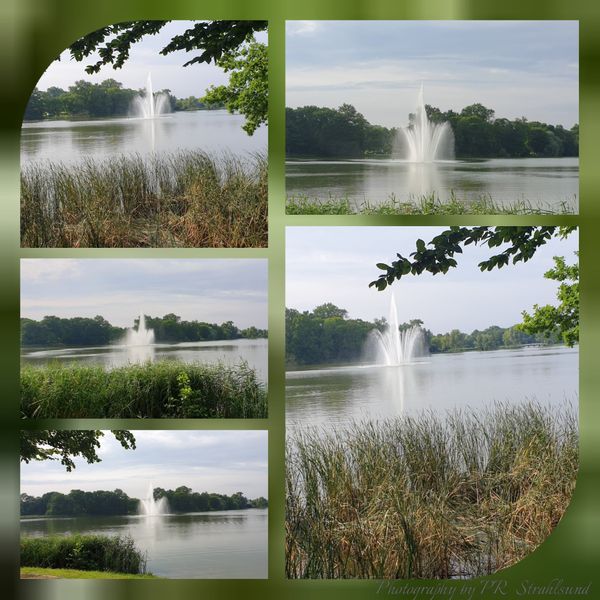Idylle pur am Stadtrand