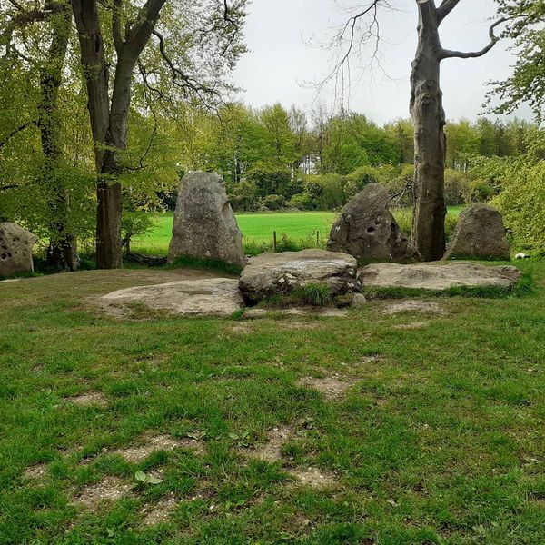 Historisches Grabmal im Wald