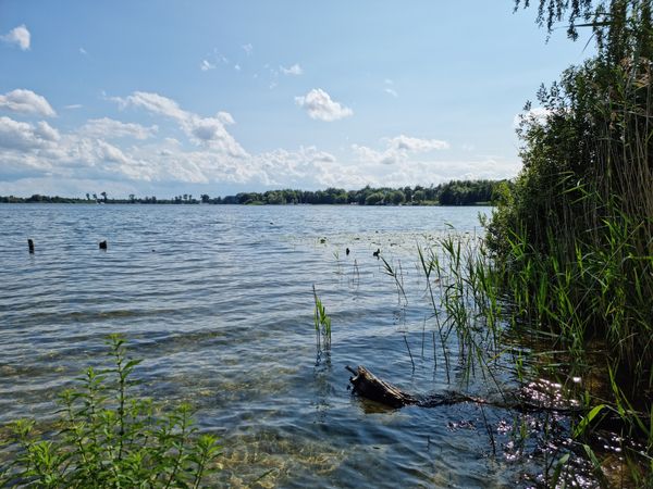 Freiheitsfeier am See