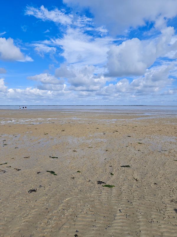 Mit den Füßen im Schlick das Meer erleben