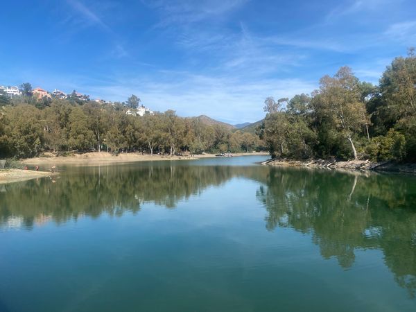 Idyllisches Picknick am Schildkrötensee