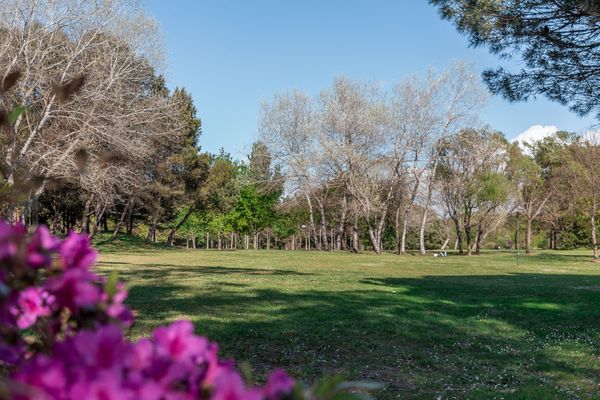 Größter Stadtpark für Familienzeit