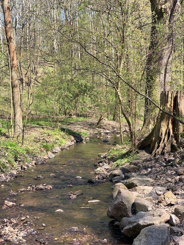 Idyllische Auszeit im Grünen