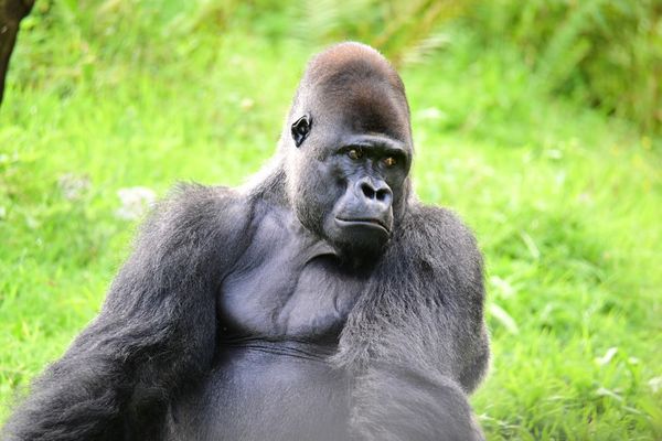 Begegnung mit exotischen Tieren