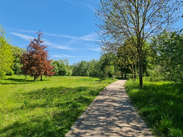 Grüne Oase in der Stadt