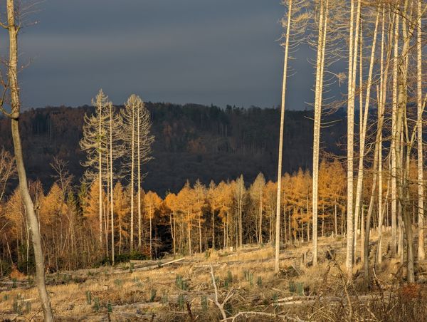 Premiumwandern in idyllischer Landschaft