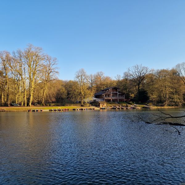 Geheime Insel im Stadtpark entdecken