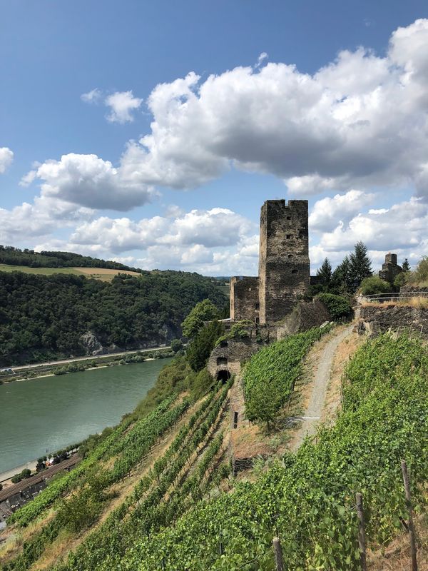 Spektakuläre Aussichten entlang des Rheins