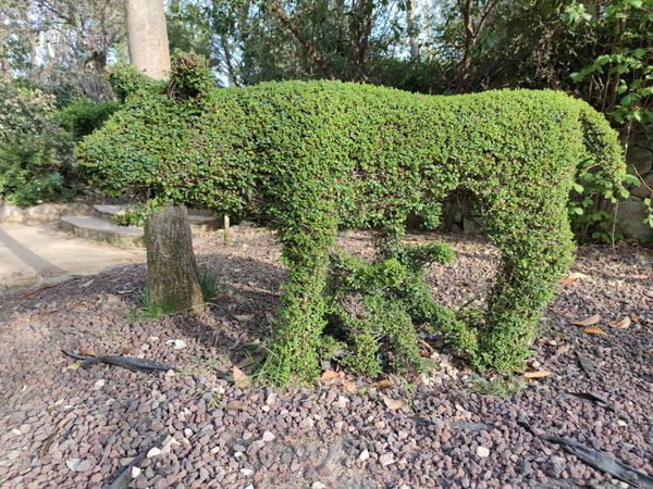 Magischer Park voller grüner Skulpturen