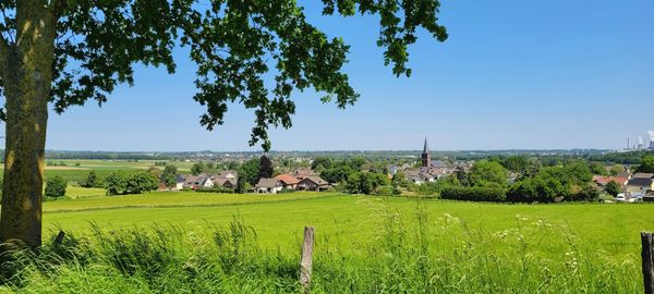 Naturerlebnis im Eschweiler Stadtwald