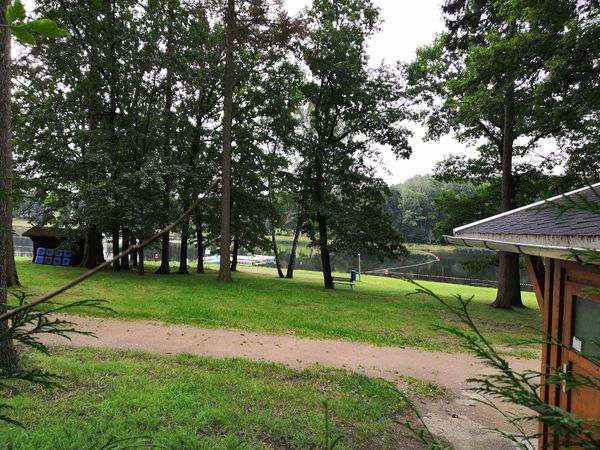 Herausforderung und Spaß im Kletterwald