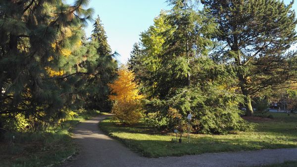 Oase der Ruhe und Schönheit