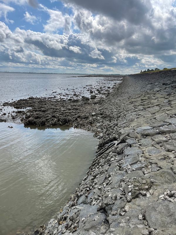 Faszination Weltnaturerbe Wattenmeer