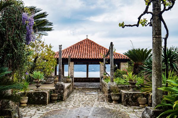 Botanische Schätze nahe Dubrovnik