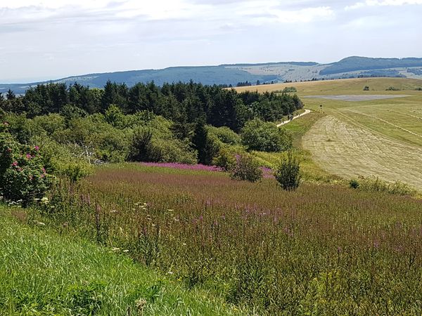 Atemberaubende Naturerlebnisse