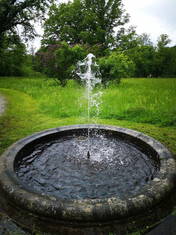 Grüne Idylle mit Schlossblick