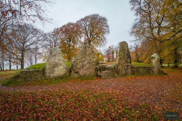 Historisches Grabmal im Wald