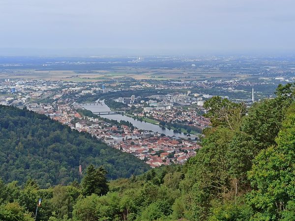 Ein magischer Tag für die Kleinen