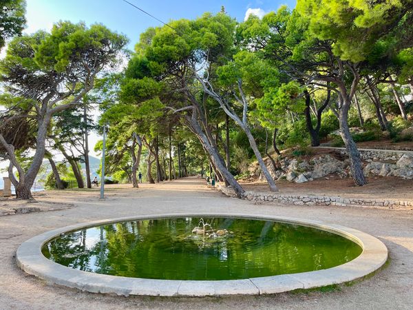 Wo Könige feiern: Ein Park mit Aussicht