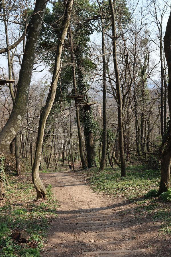 Wandern & Natur in Serbiens ältestem Nationalpark