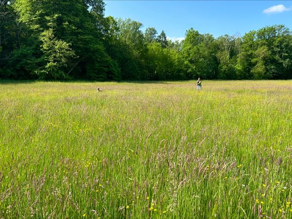 Natur pur am Stadtrand