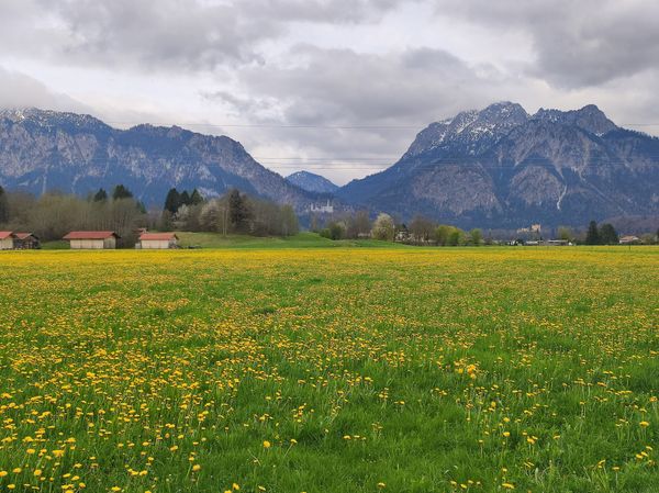 Entspannung mit Blick auf Neuschwanstein