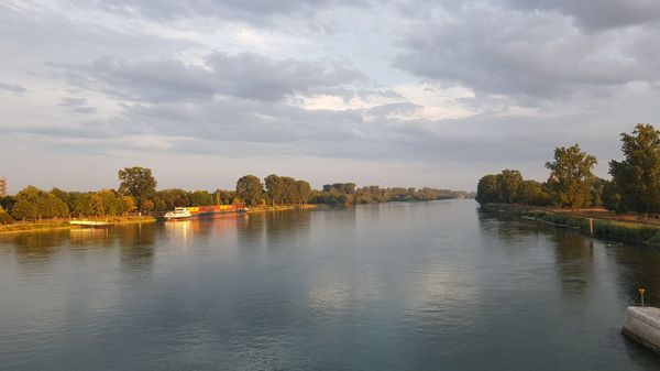 Grüne Oase mit Blick auf den Rhein