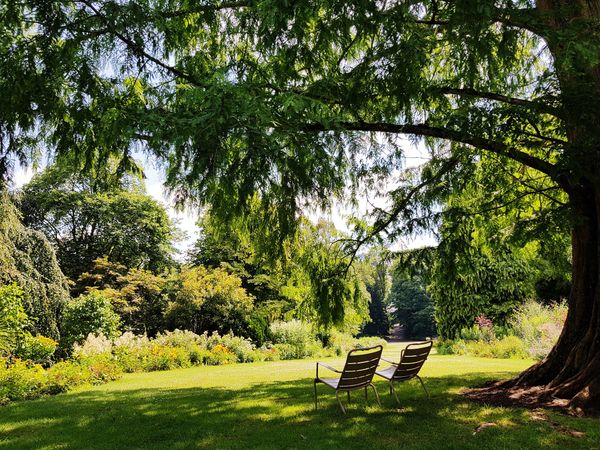 Blühende Wunder im botanischen Garten