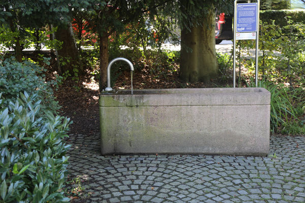 Frische Kneippkur im Stadtgarten