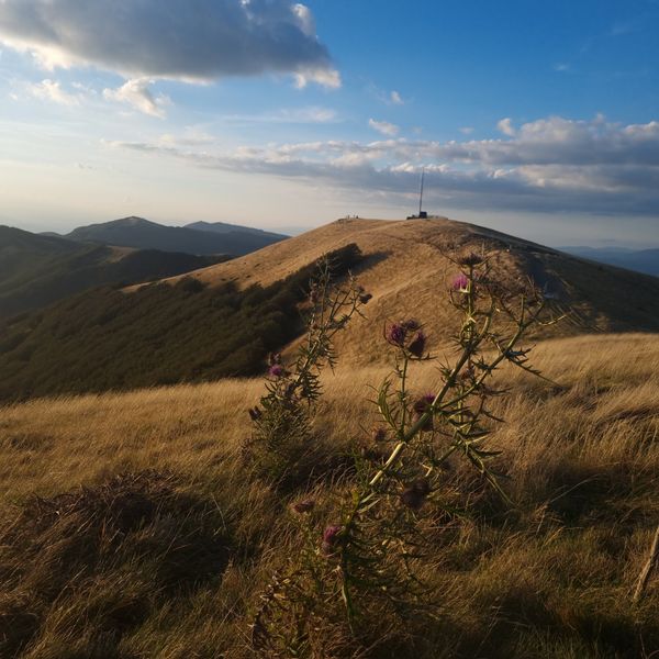 Wandern in den Höhen des Pratomagno