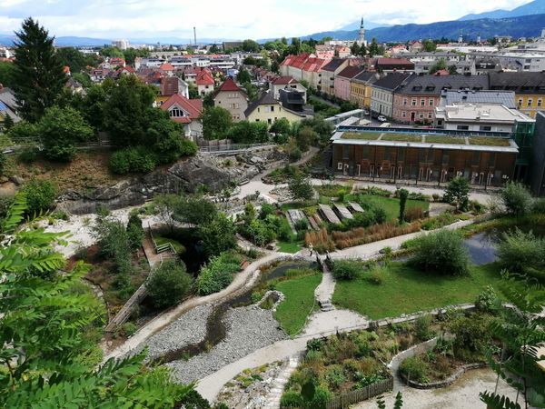 Ein grünes Paradies der Pflanzenwelt