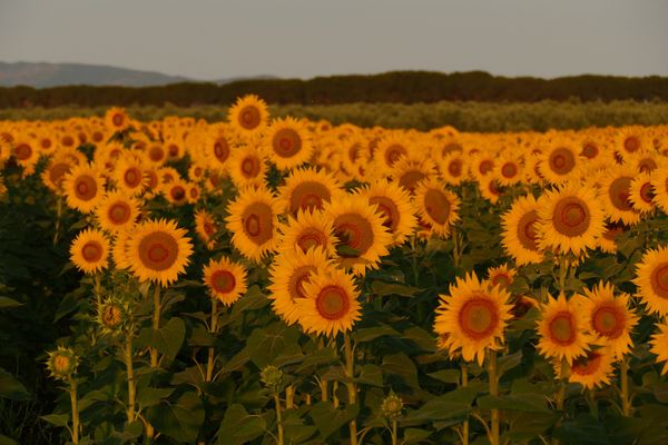 Erkunden Sie das unberührte Paradies der Maremma
