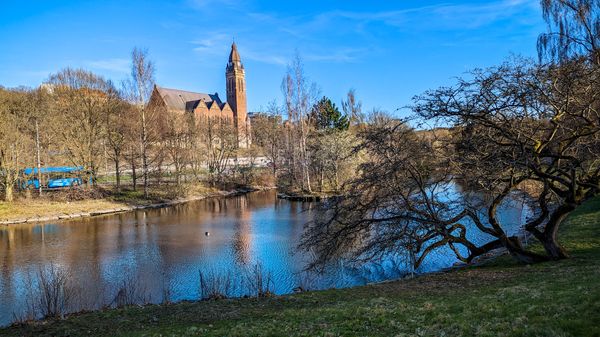 Grüne Oase in der Stadt