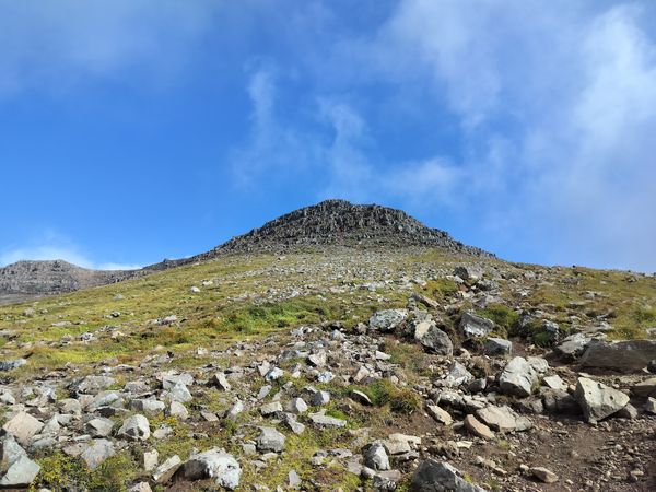 Wandern mit Blick auf Reykjavík