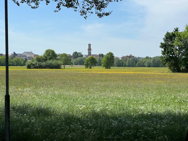 Natur pur am Stadtrand