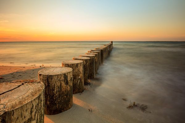 Spaß für Vierbeiner am Strand