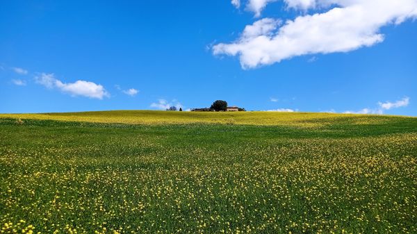 Fotogenes Juwel im Val d'Orcia