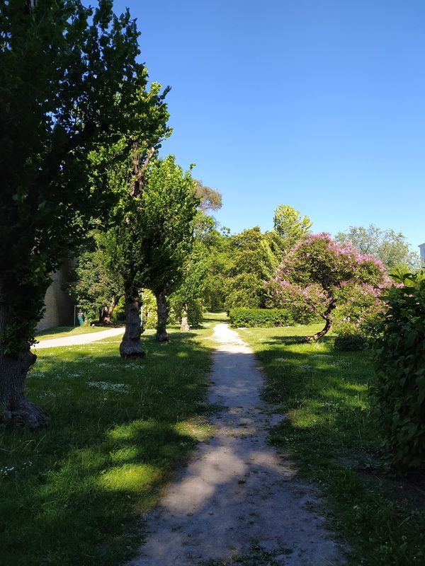 Grüne Oase mit Spielplatz