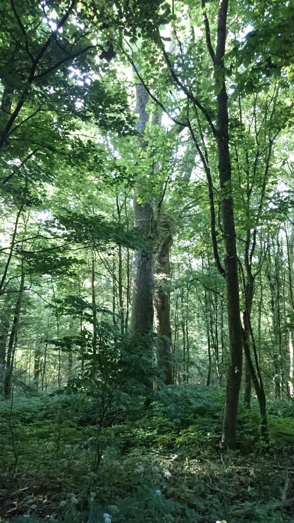 Wandern im Naturparadies