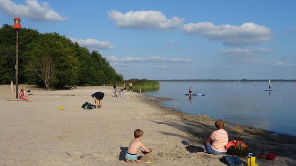 Segel- und Naturerlebnis am größten Binnensee Niedersachsens