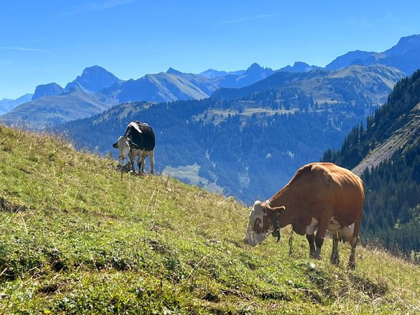 Wandern mit atemberaubender Aussicht