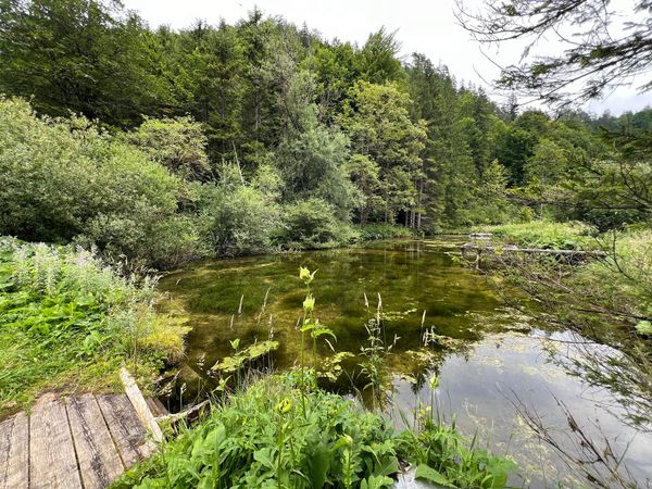Einzigartiges Wildnisgebiet erkunden