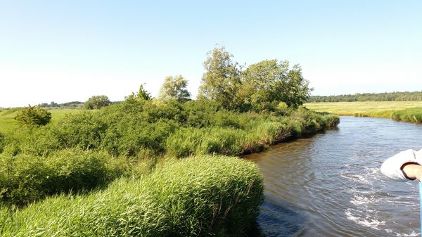 Ruhe und Artenvielfalt genießen