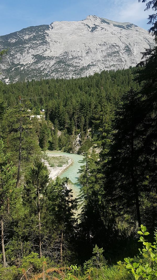 Entdecke die Vielfalt der Alpenkräuter