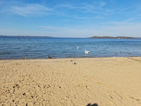 Entspannung pur am Stadtstrand