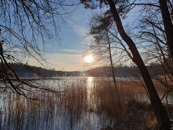 Kristallklares Wasser inmitten üppiger Wälder
