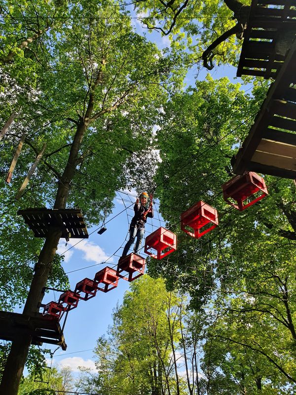 Adrenalin im Hochseilgarten